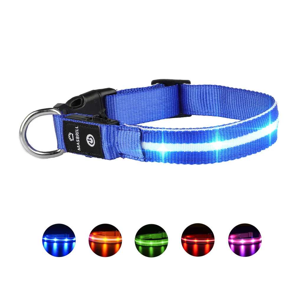 Luminous Flashing Necklace Collar Outdoor Walking Night Safety - Bark & Meow Emporium