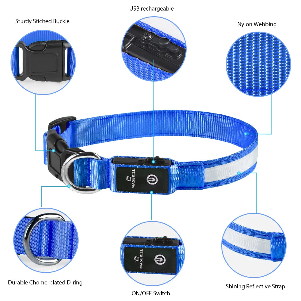 USB Rechargeable Waterproof 3 Modes Flashing Glowing Dog Collars - Bark & Meow Emporium