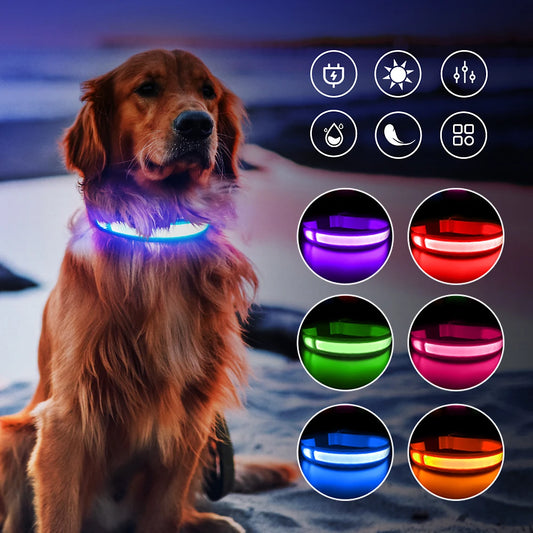 USB Rechargeable Waterproof 3 Modes Flashing Glowing Dog Collars - Bark & Meow Emporium