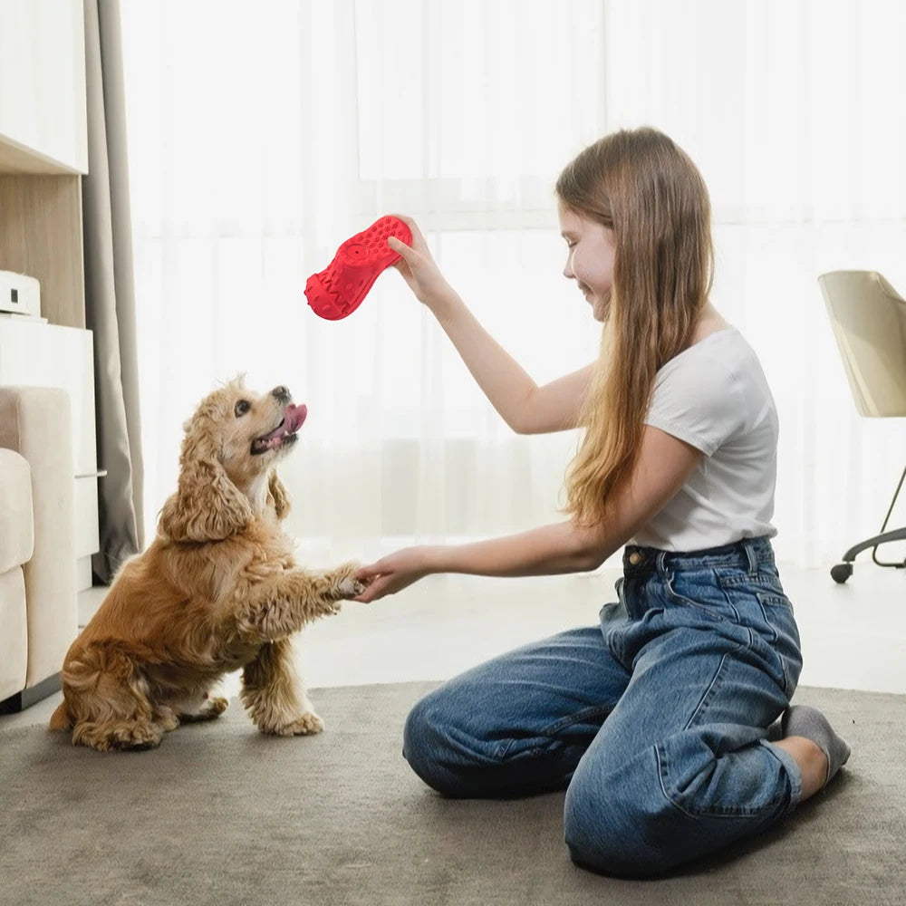 Dog Chew Toys Indestructible Large Breed Aggressive Chewers - Bark & Meow Emporium