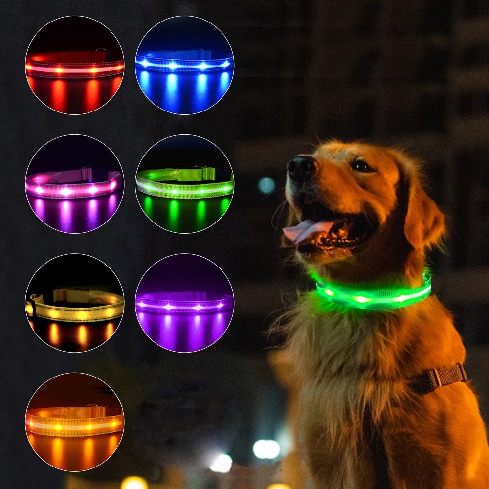 Luminous Flashing Necklace Collar Outdoor Walking Night Safety - Bark & Meow Emporium