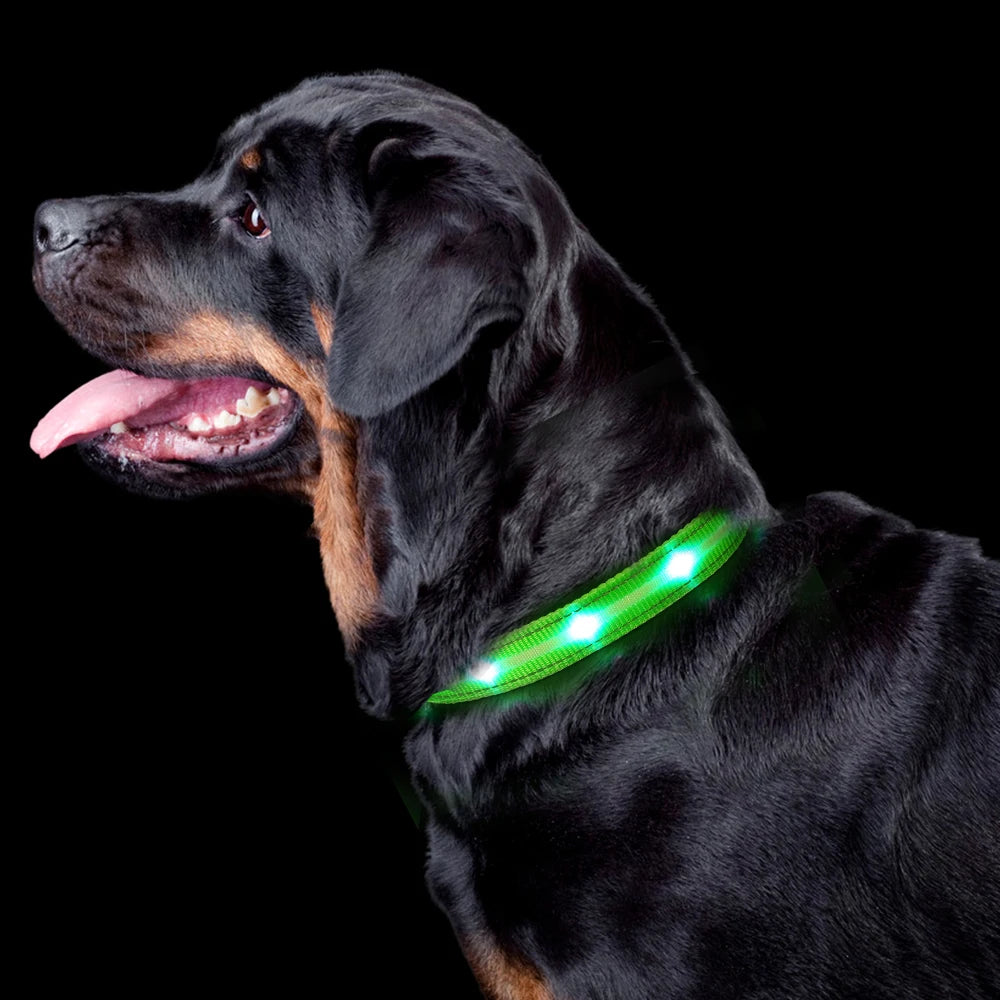 LED Dog Cat Collar Luminous Safety Glow Necklace Flashing Lighting Up - Bark & Meow Emporium