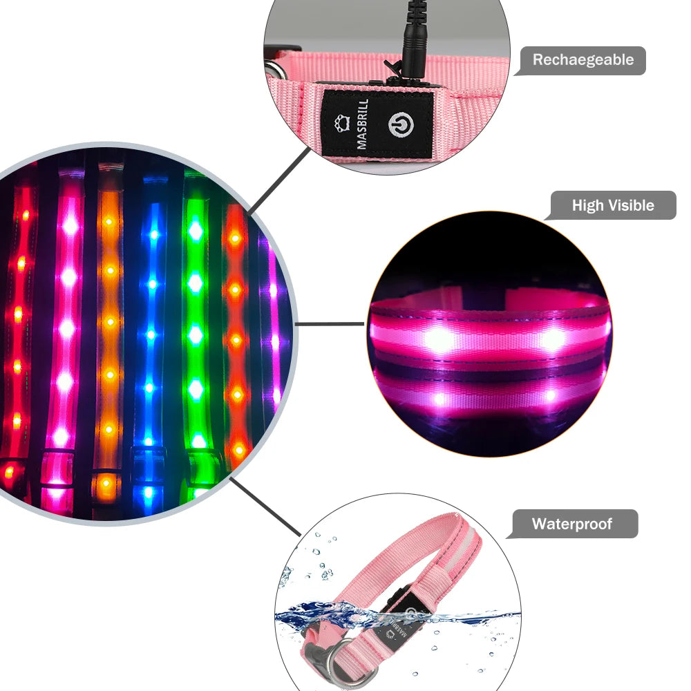 Light Up Dog Collar Waterproof USB Rechargeable - Bark & Meow Emporium