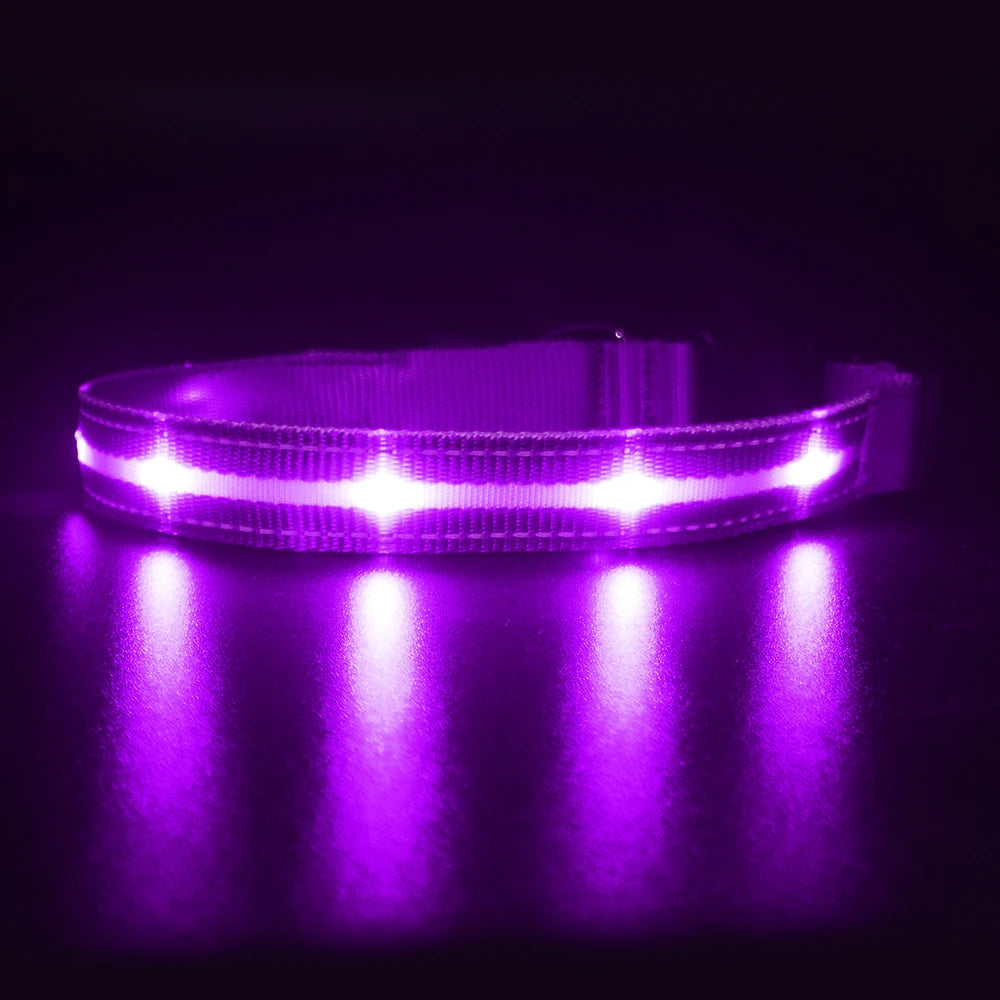 Light Up Dog Collar Waterproof USB Rechargeable - Bark & Meow Emporium