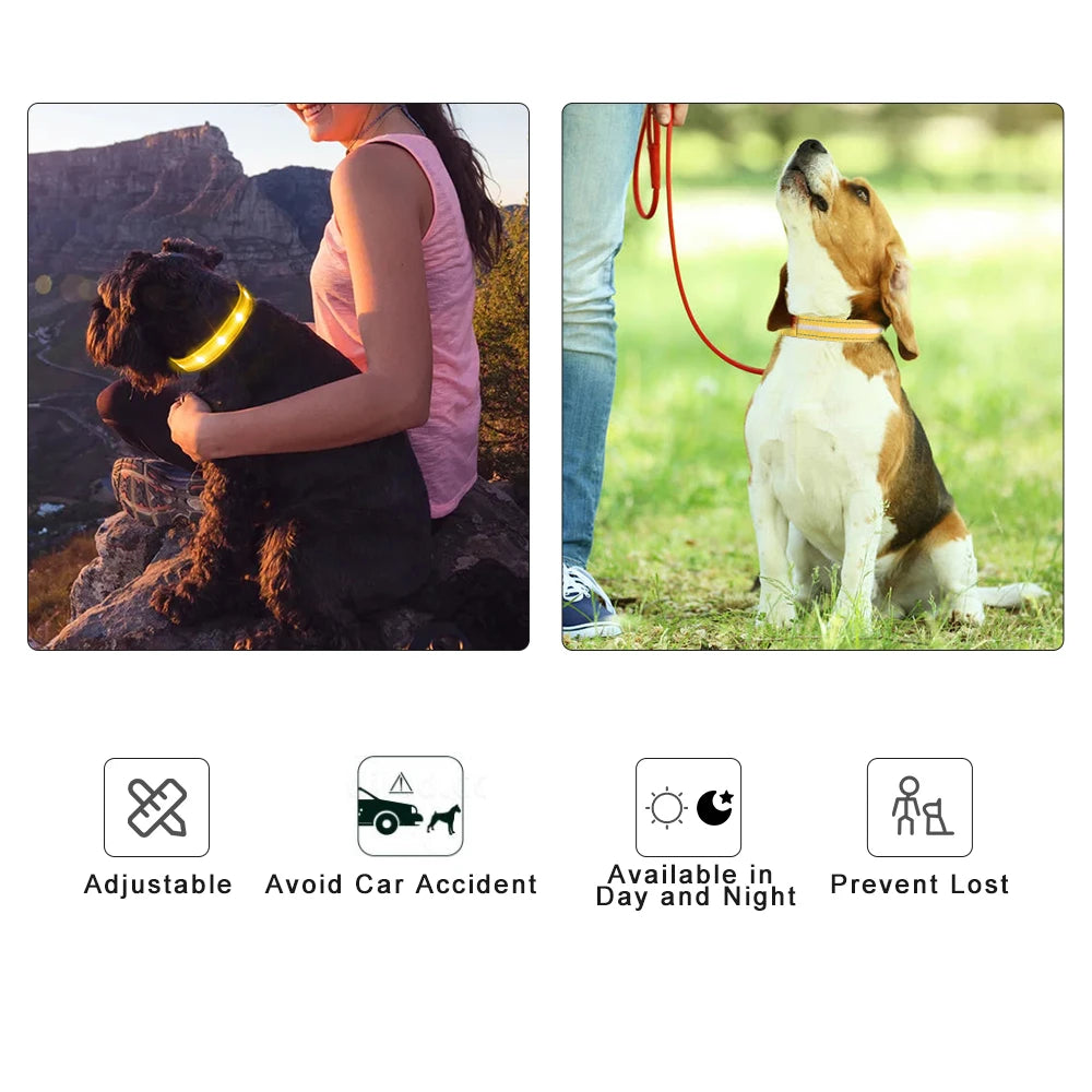 Luminous Flashing Necklace Collar Outdoor Walking Night Safety - Bark & Meow Emporium