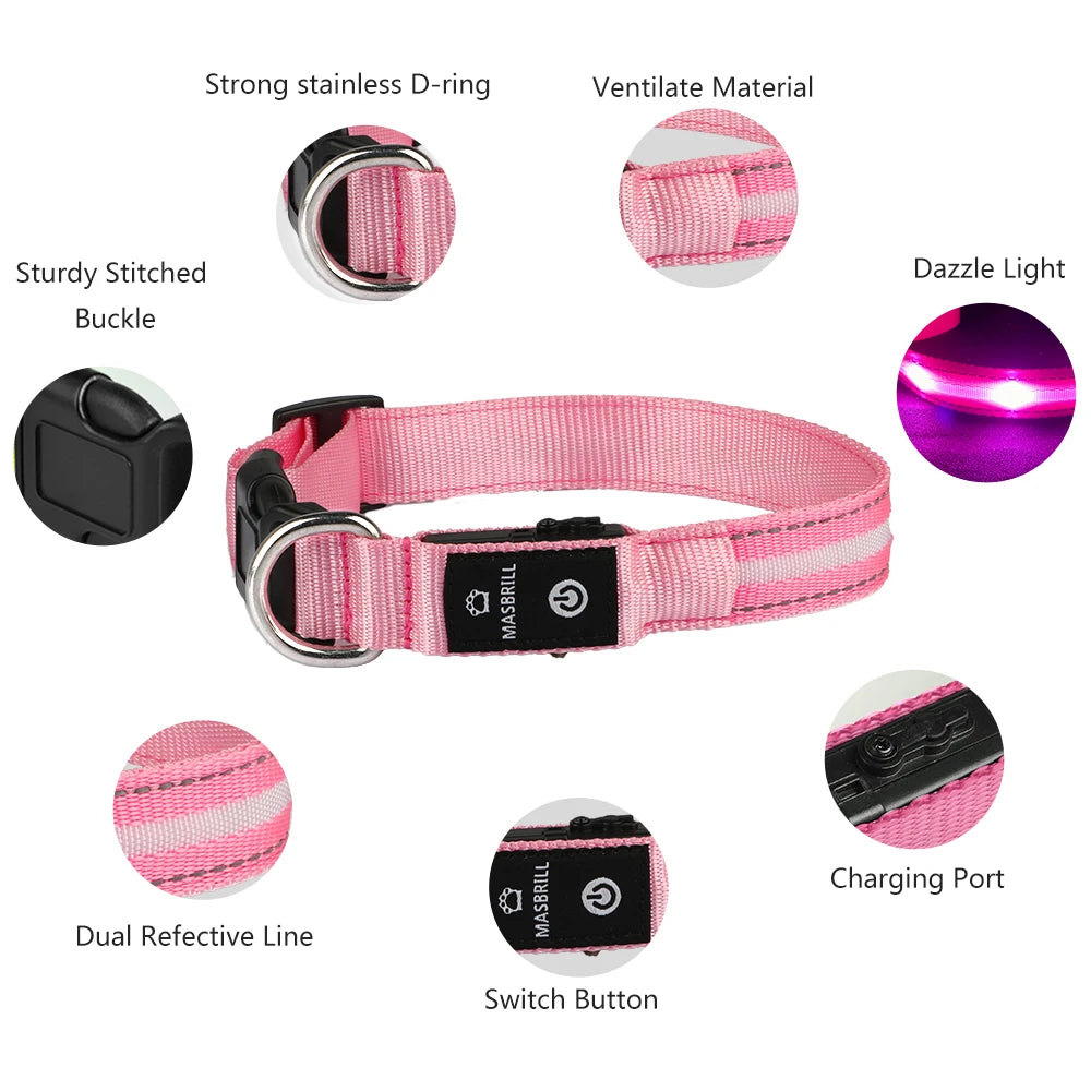 Light Up Dog Collar Waterproof USB Rechargeable - Bark & Meow Emporium