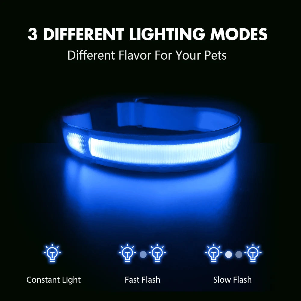 USB Rechargeable Waterproof 3 Modes Flashing Glowing Dog Collars - Bark & Meow Emporium