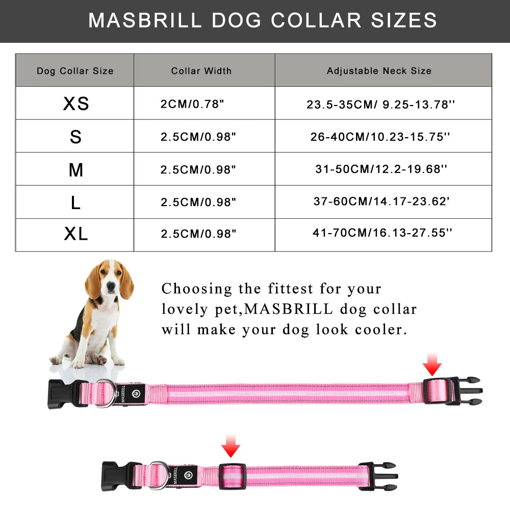 Luminous Flashing Necklace Collar Outdoor Walking Night Safety - Bark & Meow Emporium