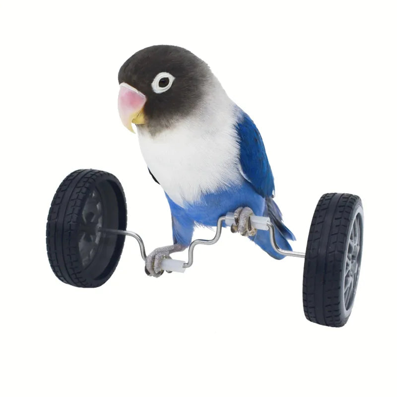 Parrot Balance Toy Birds Intelligence Training Interactive Toy - Bark & Meow Emporium