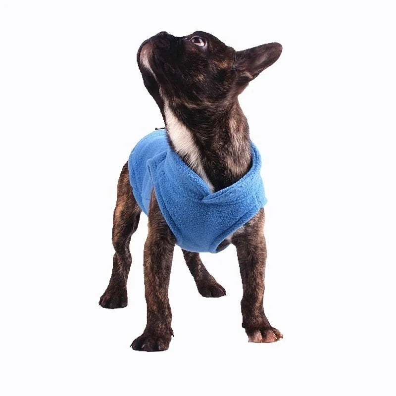 New Stylish and cozy pet apparel to keep your furry friend warm and fashionable this winter - Bark & Meow Emporium