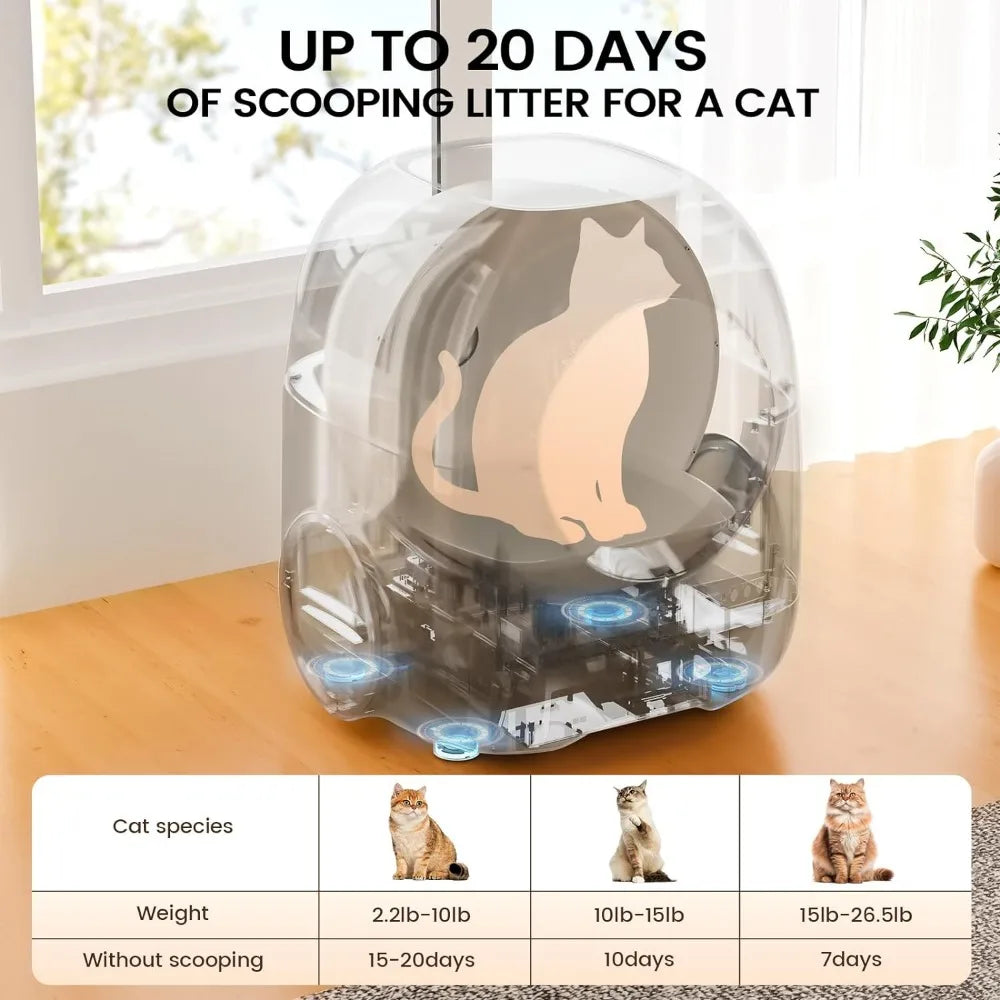 Self Cleaning Cat Litter Box - Bark & Meow Emporium