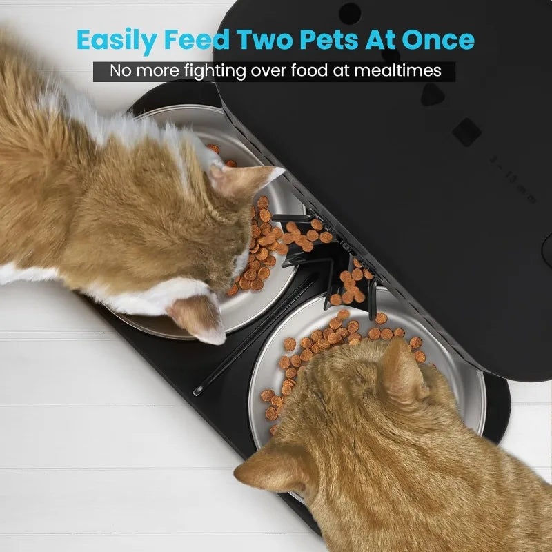 Automatic Elevated Auto Cat Food Dispenser with Raiser Kit and 2 Stainless Bowls