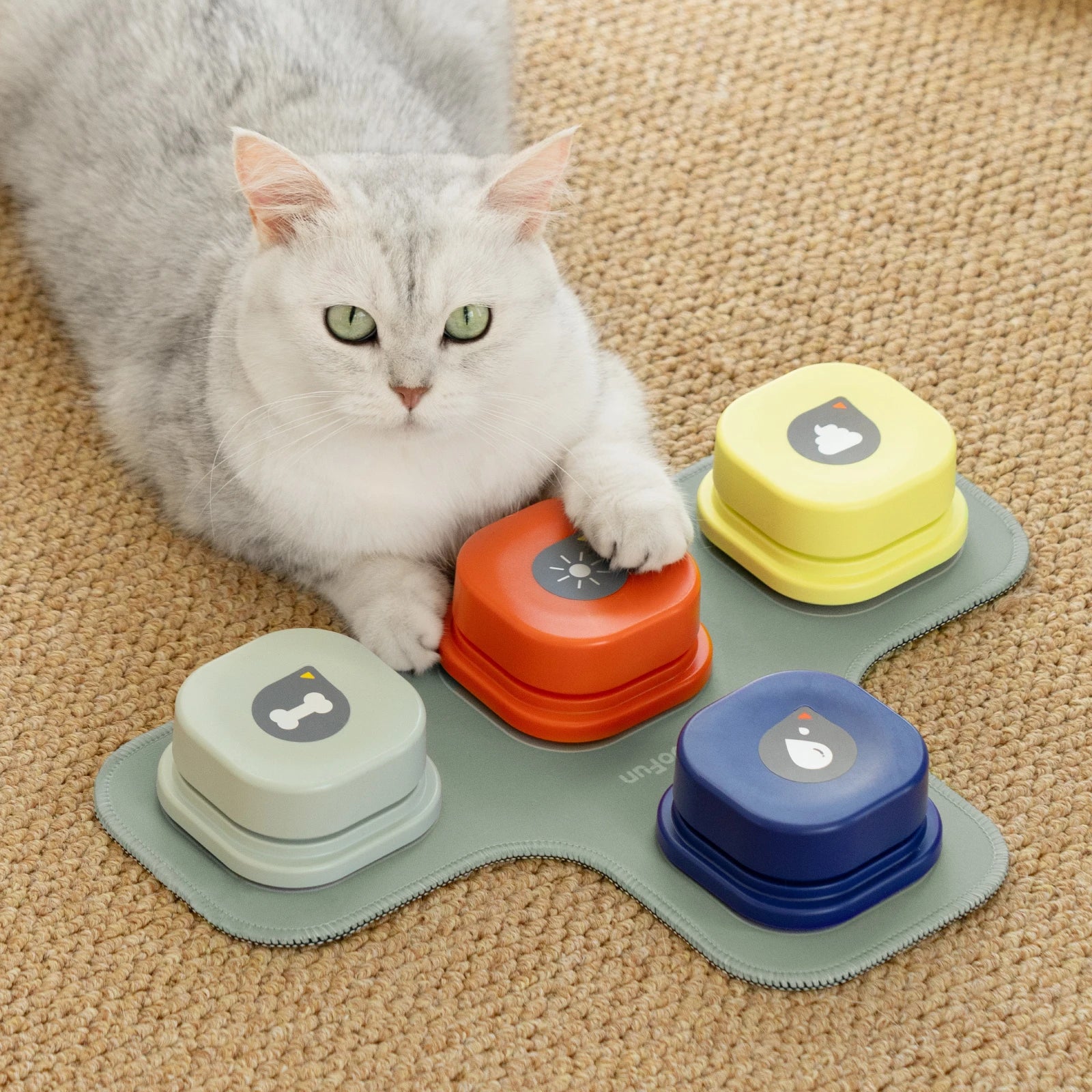 Button Record Talking Pet Communication Vocal Training Interactive Toy - Bark & Meow Emporium