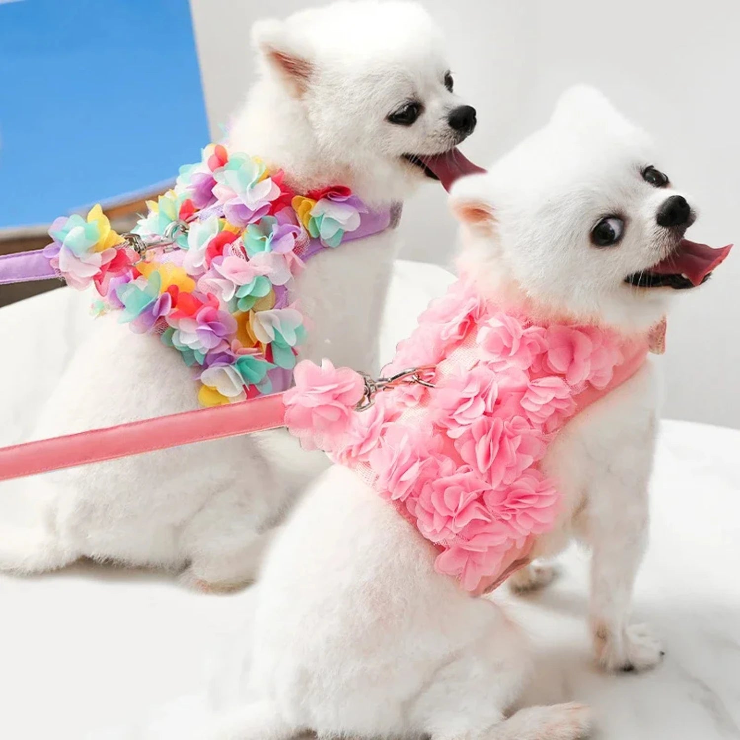 Cute Angel Wings Dog Harness Leash Set for Dog - Bark & Meow Emporium