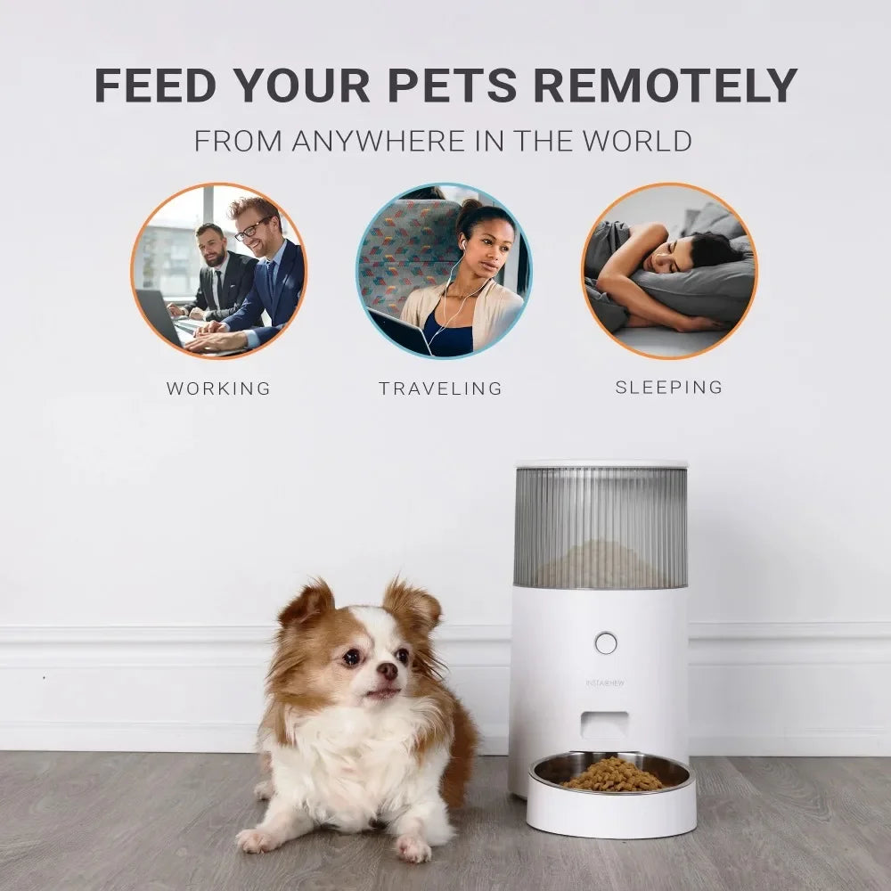 Purechew Mini Automatic Pet Feeder - Bark & Meow Emporium