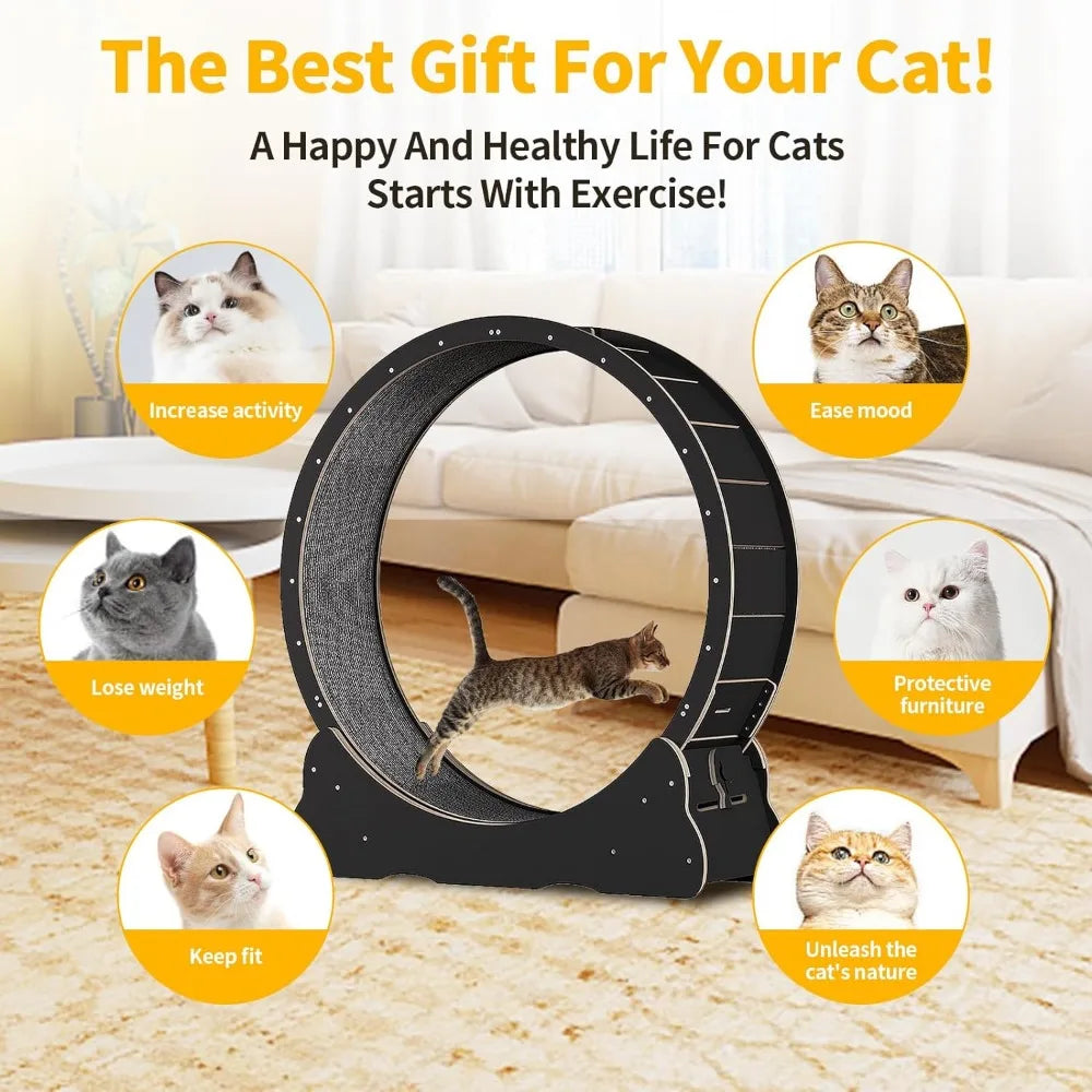 Cat Exercise Wheel for Indoor and Training Toys - Bark & Meow Emporium