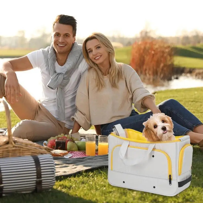 Pet Travel Carrier