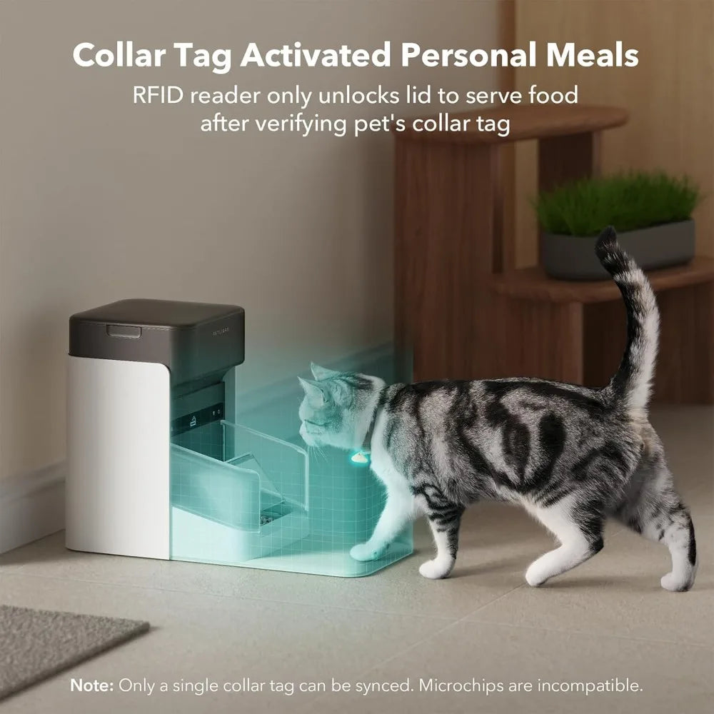 Automatic Cat Food Dispensers with Bowl Lid - Bark & Meow Emporium