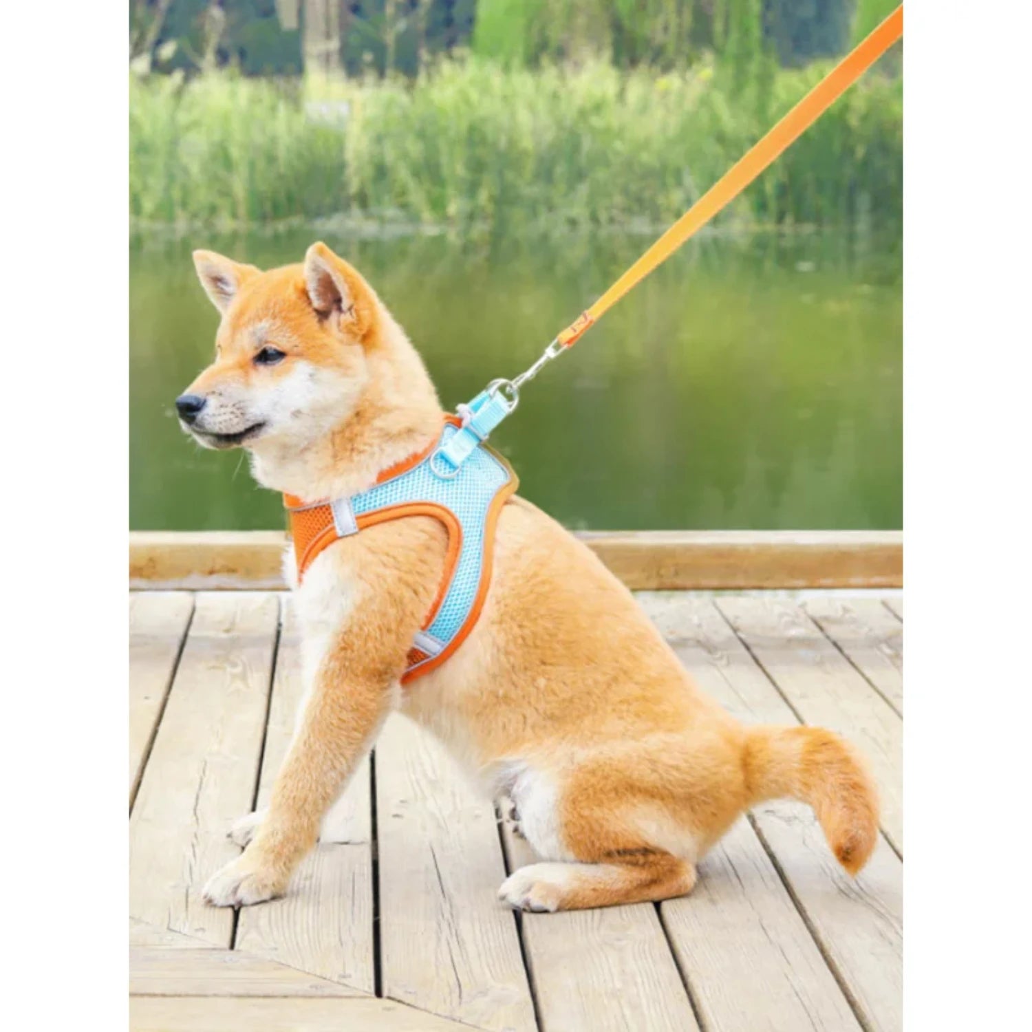 Best Selling Pet Vest Collar and Leash - Bark & Meow Emporium