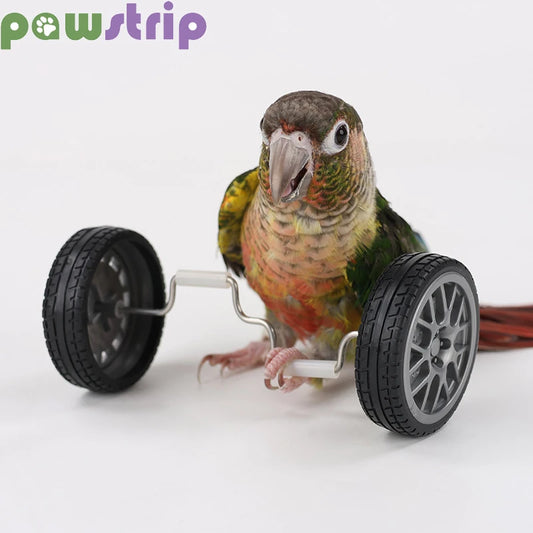 Parrot Balance Toy Birds Intelligence Training Interactive Toy - Bark & Meow Emporium