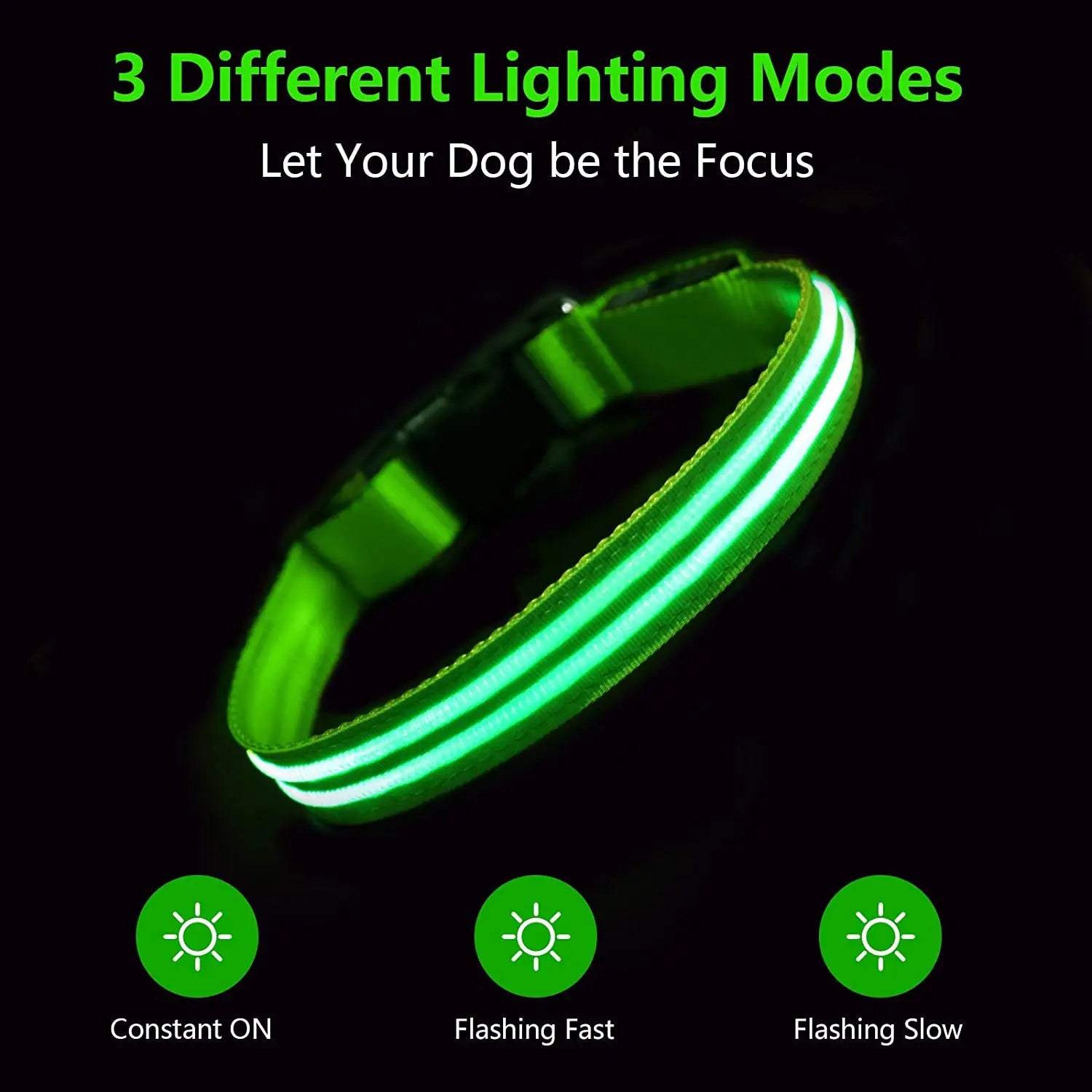 Rechargeable Dog Collar 100% Waterproof Glow in the Dark - Bark & Meow Emporium