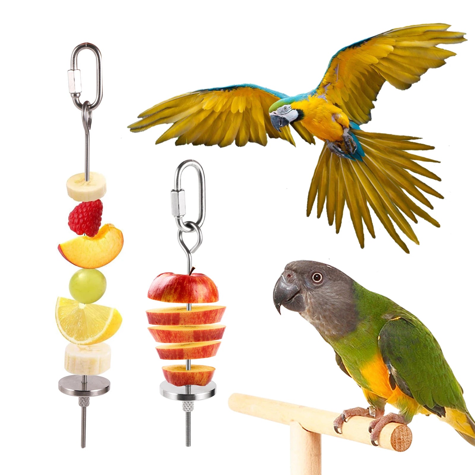 Stainless Steel Pet Parrots Birds Fruits Fork Bird Cage Food Holder - Bark & Meow Emporium