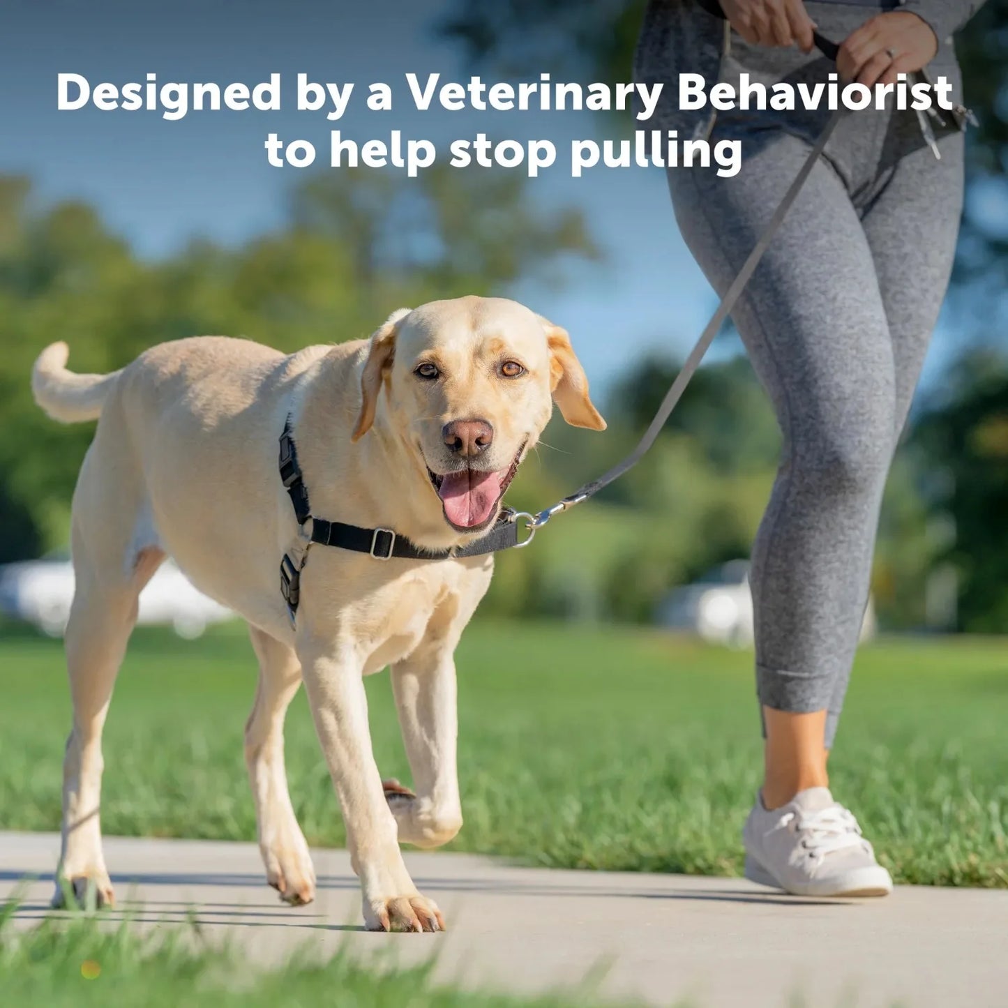 Easy Walk Leashless Dog Training Harness Medium Charcoal Gray - Bark & Meow Emporium