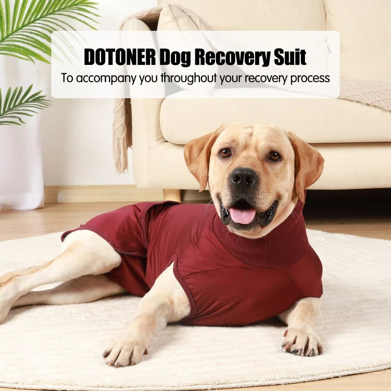 Pet Recovery Shirt With Nappy pad Design