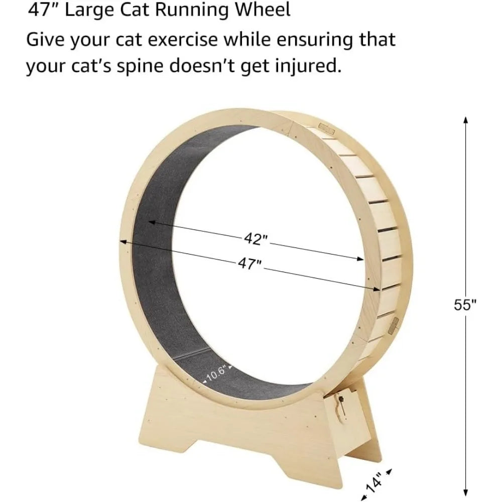 Indoor Cat Dog Training Toys for Kitty’s Longer Life - Bark & Meow Emporium