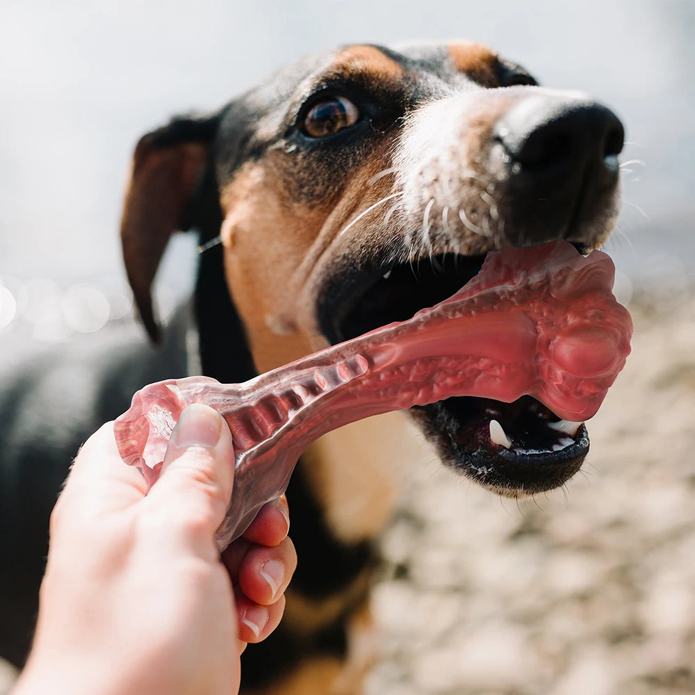 MASBRILL Dog Toys Aggressive Chewers Large Dogs Bone-Shaped Indestructible Dog Toys Nylon Interactive Dog Toys Teeth Cleaning - Bark & Meow Emporium