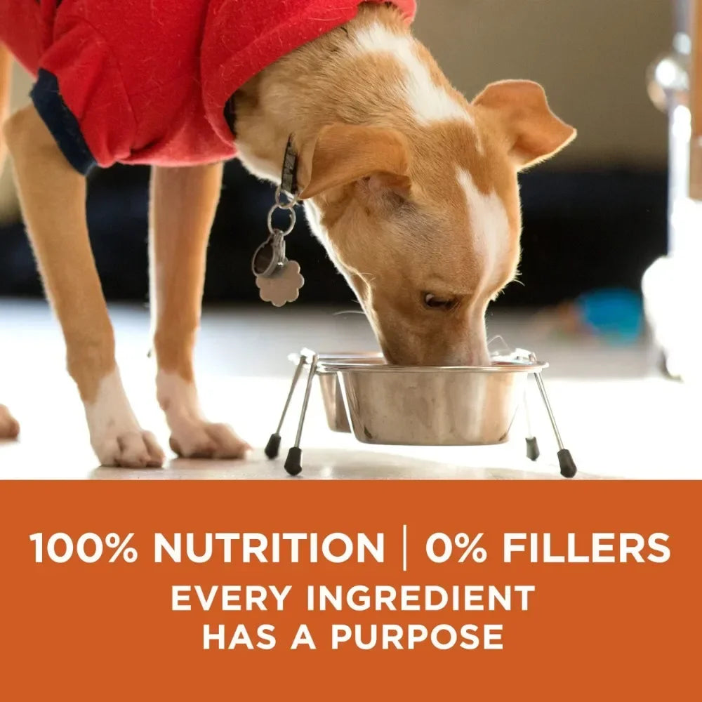 Healthy Weight Dog Food Dry Formula - Bark & Meow Emporium