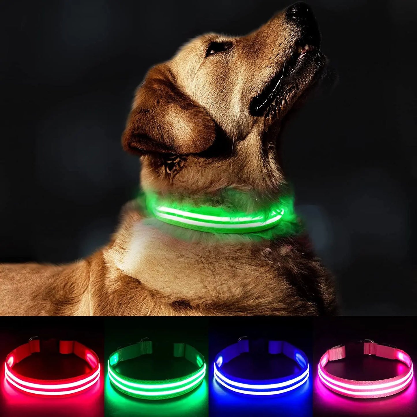 Rechargeable Dog Collar 100% Waterproof Glow in the Dark - Bark & Meow Emporium