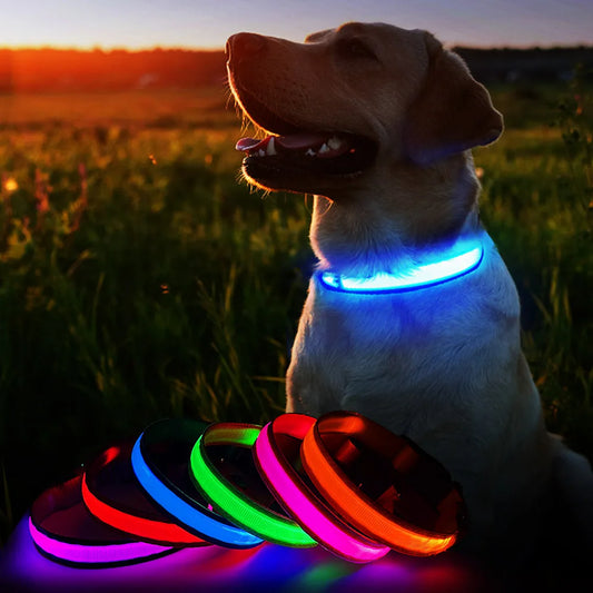 Waterpoof Safety Glow Necklace Flashing Lighting Up Collars - Bark & Meow Emporium