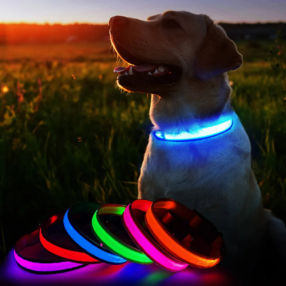 Luminous Pet Supplies Dog Collar Waterpoof Safety Collars - Bark & Meow Emporium