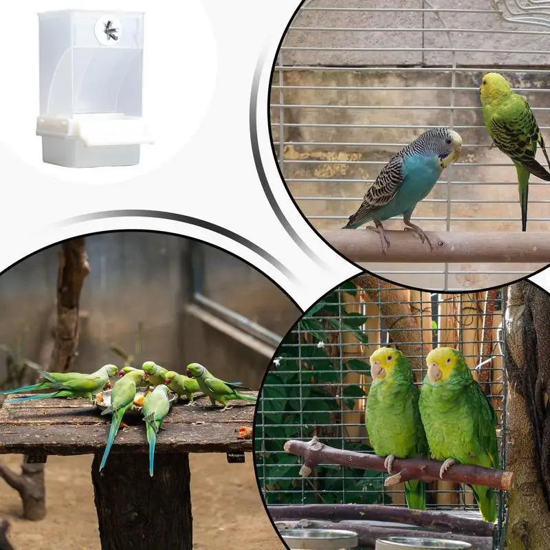 Parrot Bird Automatic Feeder Feeding Dish Easy Cleaning