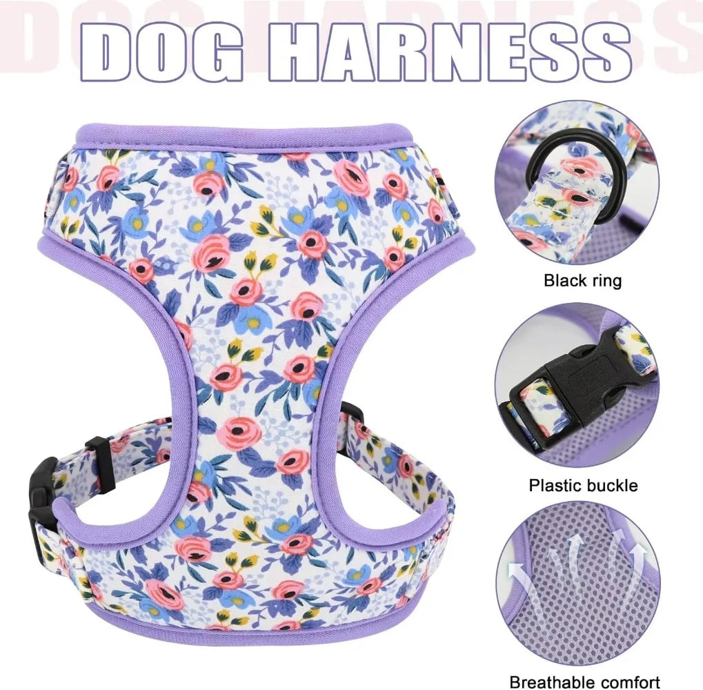 Cute Girls Dog Collar Harness and Leash Set