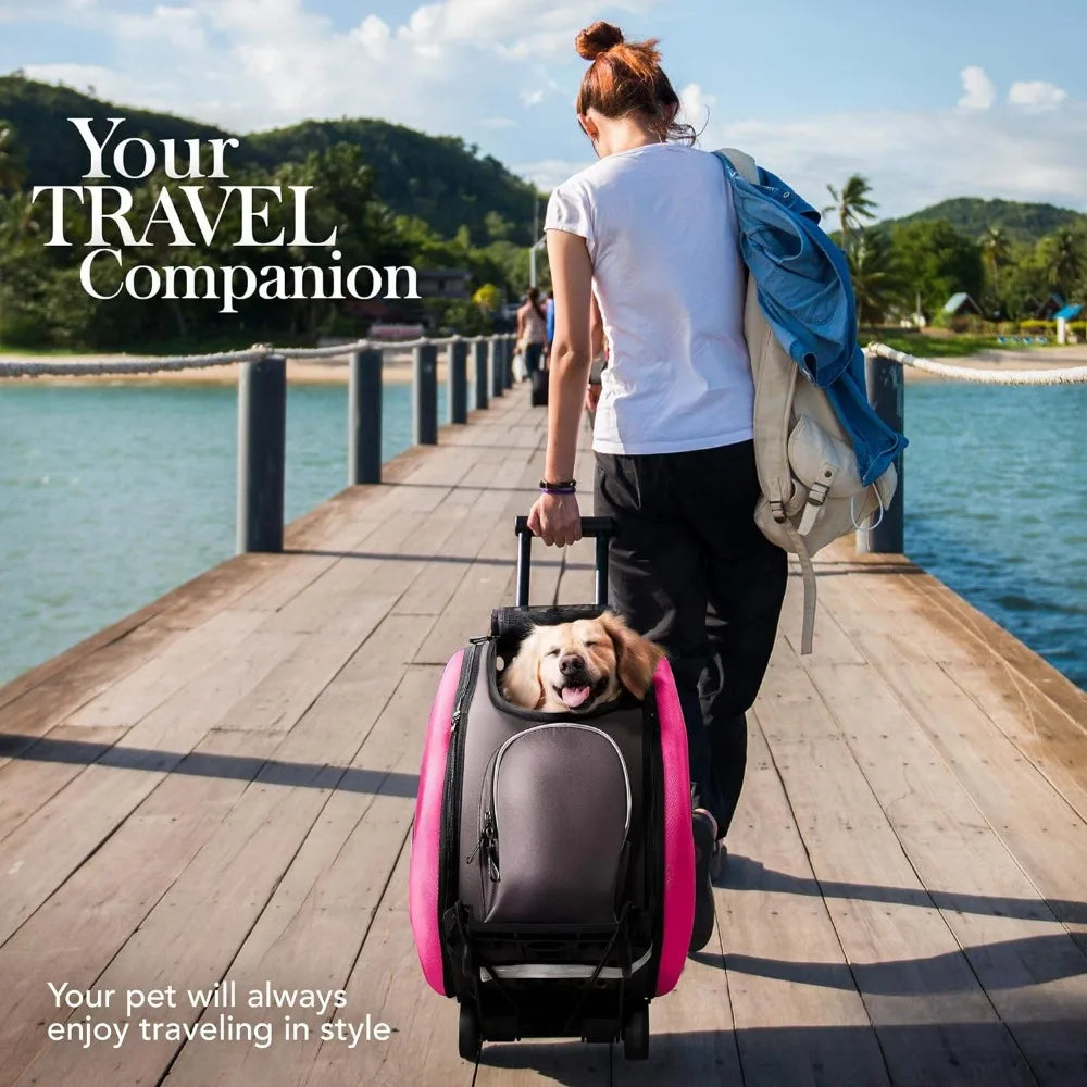 Compact 5-in-1 Convertible and Foldable Small Pet Carrier