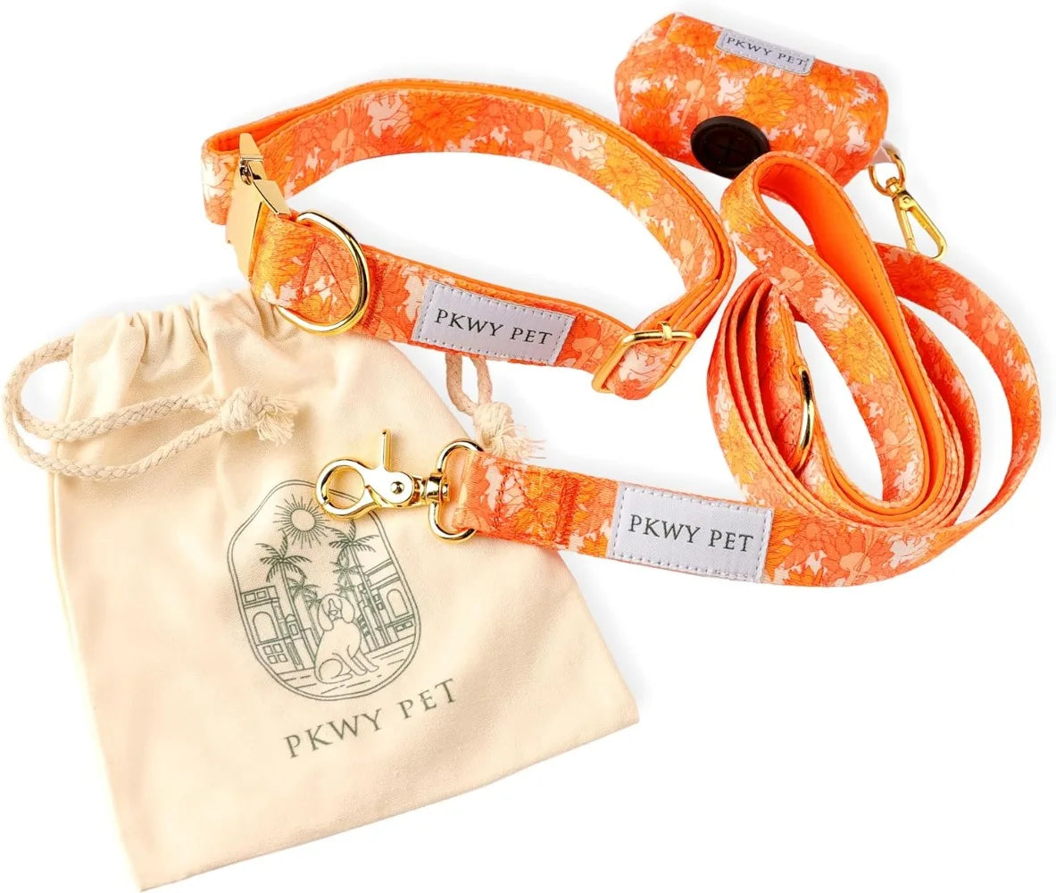 Matching Dog Collar and Leash Set Comes with Waste Bag and Storage Bag Premium Durability