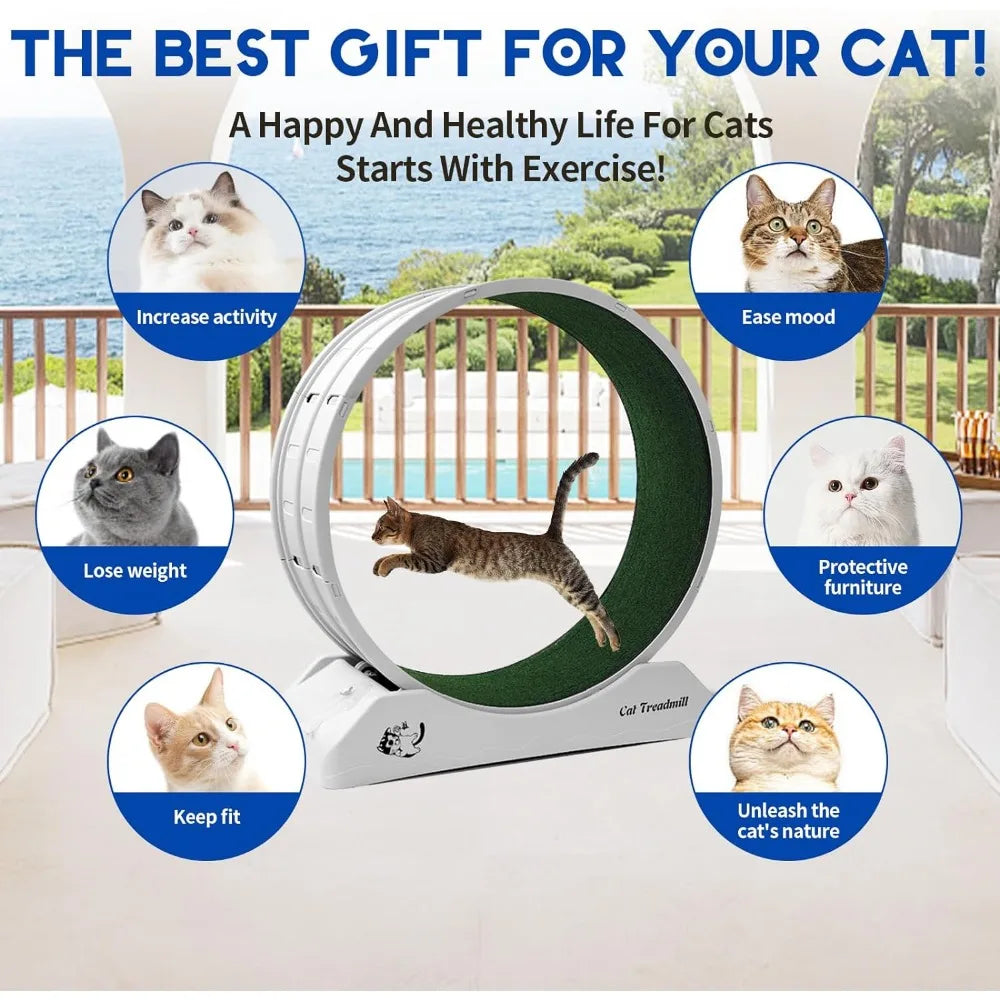 Cat Treadmill Wheel Exerciser for Kitty’s - Bark & Meow Emporium