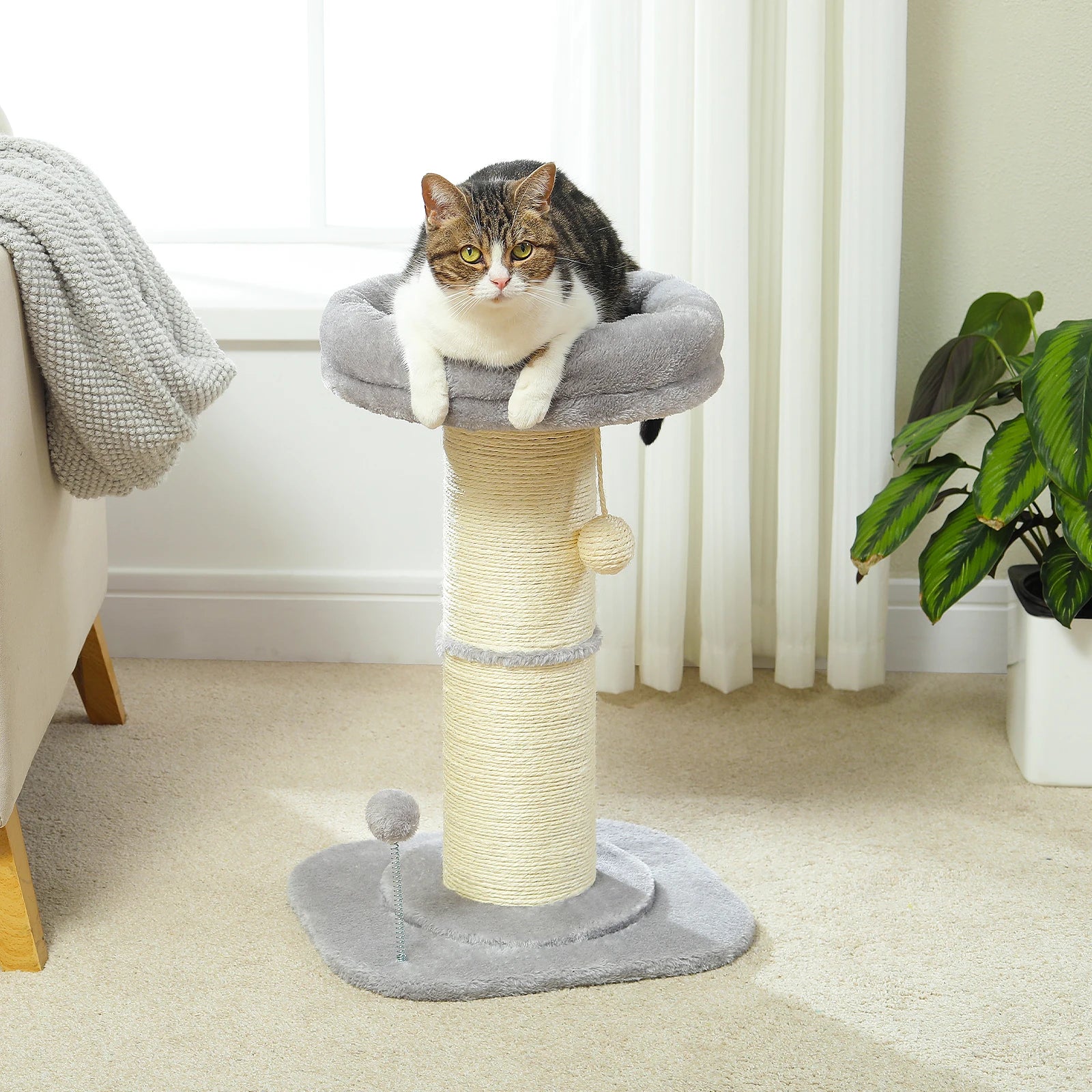 Small Cat Tree Flower  Scratching Post - Bark & Meow Emporium