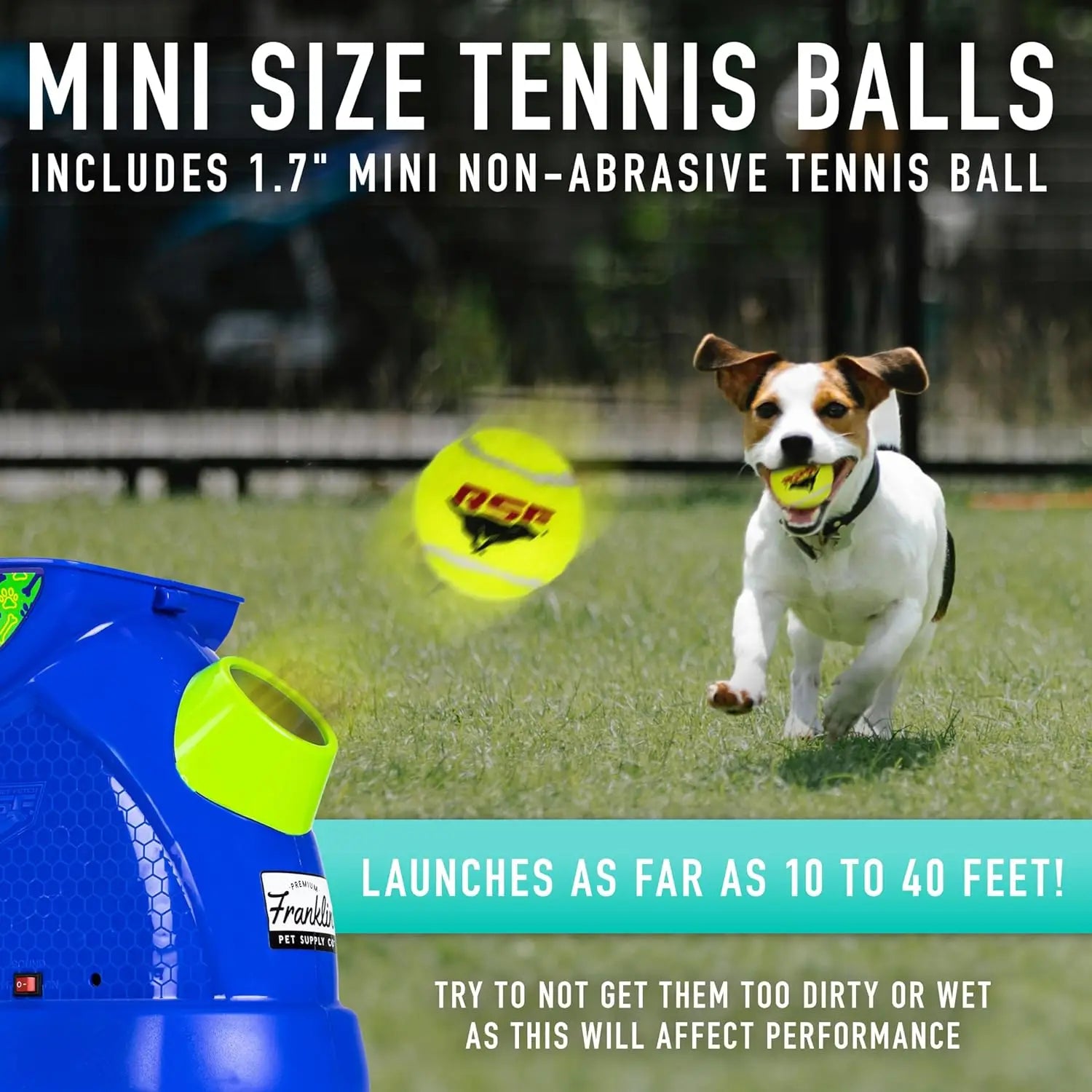 Electronic Mini Tennis Ball Thrower for Fetch +Playtime - Bark & Meow Emporium