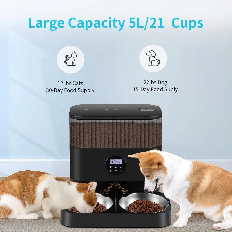 Automatic Elevated Auto Cat Food Dispenser with Raiser Kit and 2 Stainless Bowls