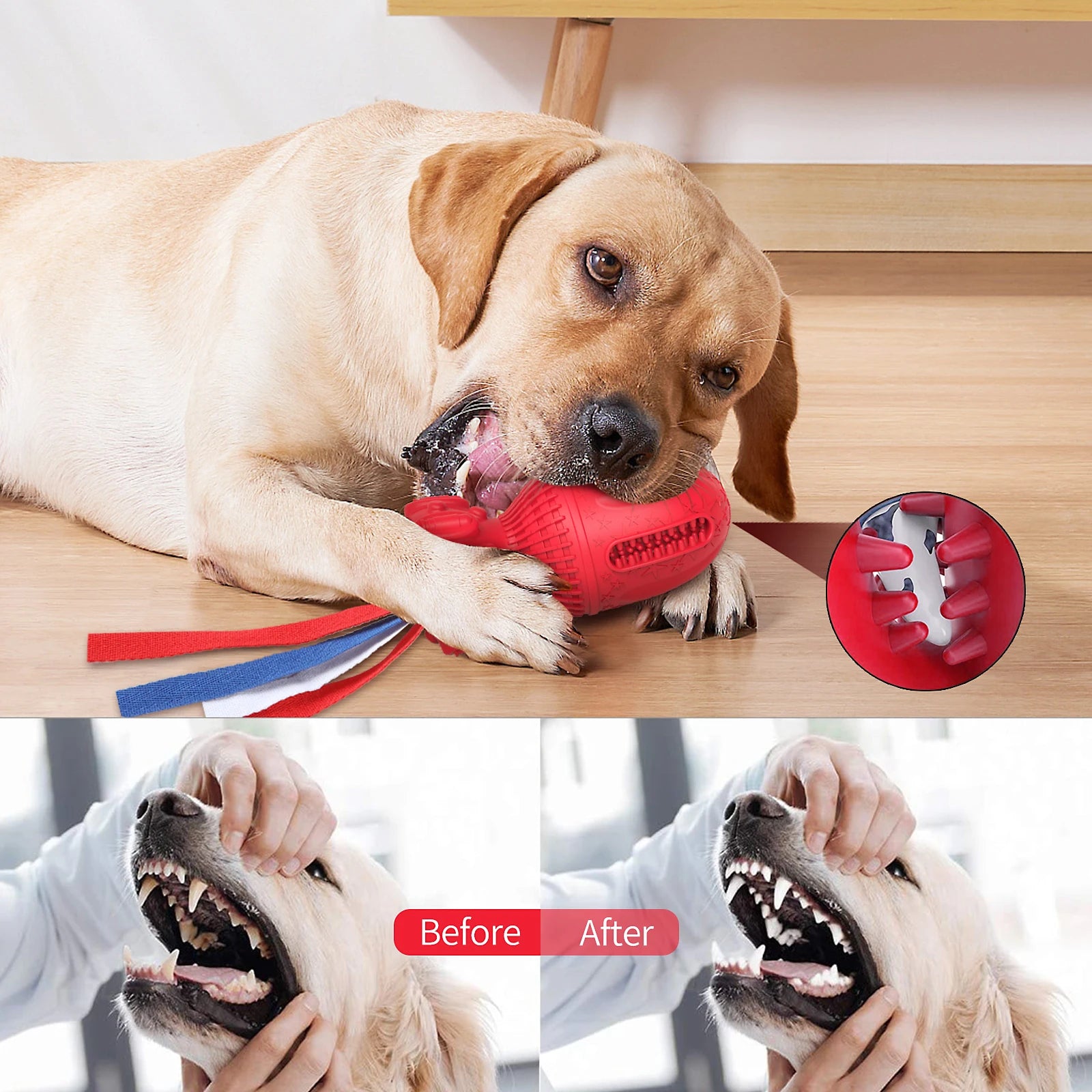 Interactive Dog Rubber Squeaky Dog Chew Toy - Bark & Meow Emporium