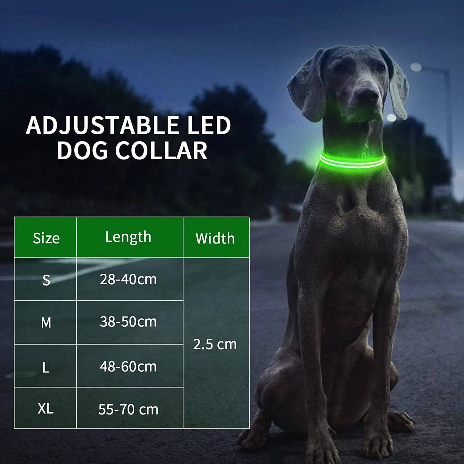 Rechargeable Dog Collar 100% Waterproof Glow in the Dark - Bark & Meow Emporium