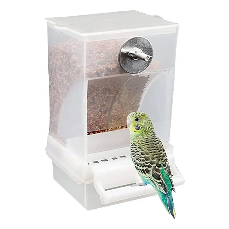 Parrot Bird Automatic Feeder Feeding Dish Easy Cleaning