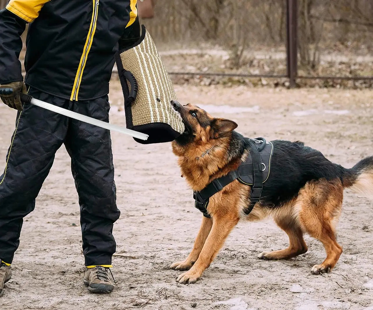 Professional Dog Bite Training Set 3 in 1