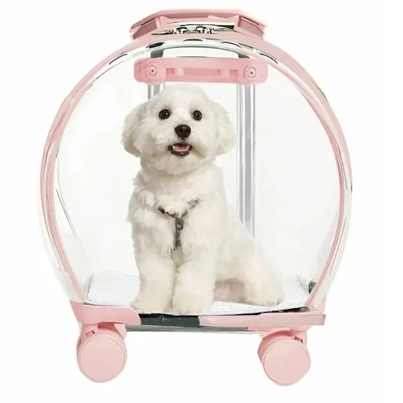 Puppy Move Trolley Cat Carriers Transparent Pet Backpack Animal - Bark & Meow Emporium